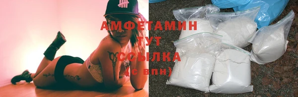 гидра Магас