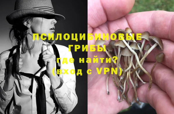 синтетический гашиш Бердск