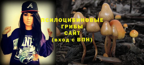 ПСИЛОЦИБИНОВЫЕ ГРИБЫ Ачинск