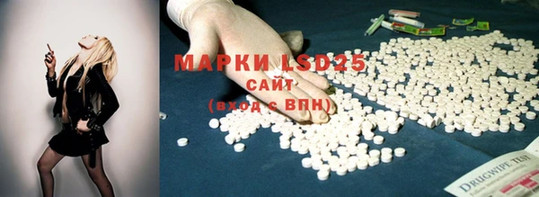 ПСИЛОЦИБИНОВЫЕ ГРИБЫ Ачинск