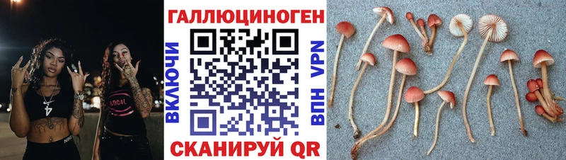 Галлюциногенные грибы Psilocybine cubensis  Добрянка 