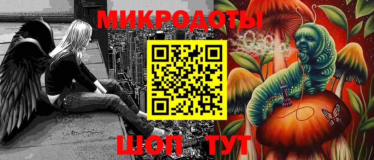 Псилоцибиновые грибы Psilocybe Добрянка