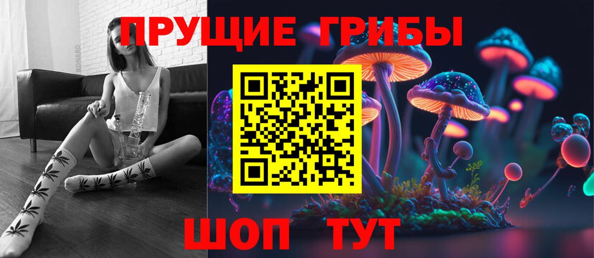 Псилоцибиновые грибы Psilocybe  Вход с VPN  Добрянка 